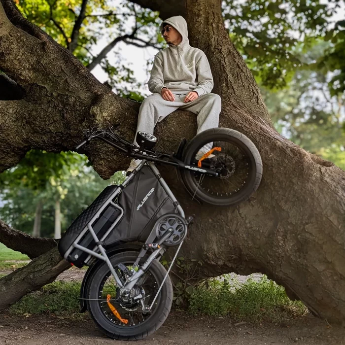 Fluence EB2 Fatbike - Afbeelding 2
