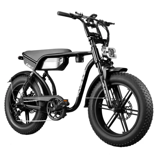 RSE fat bike